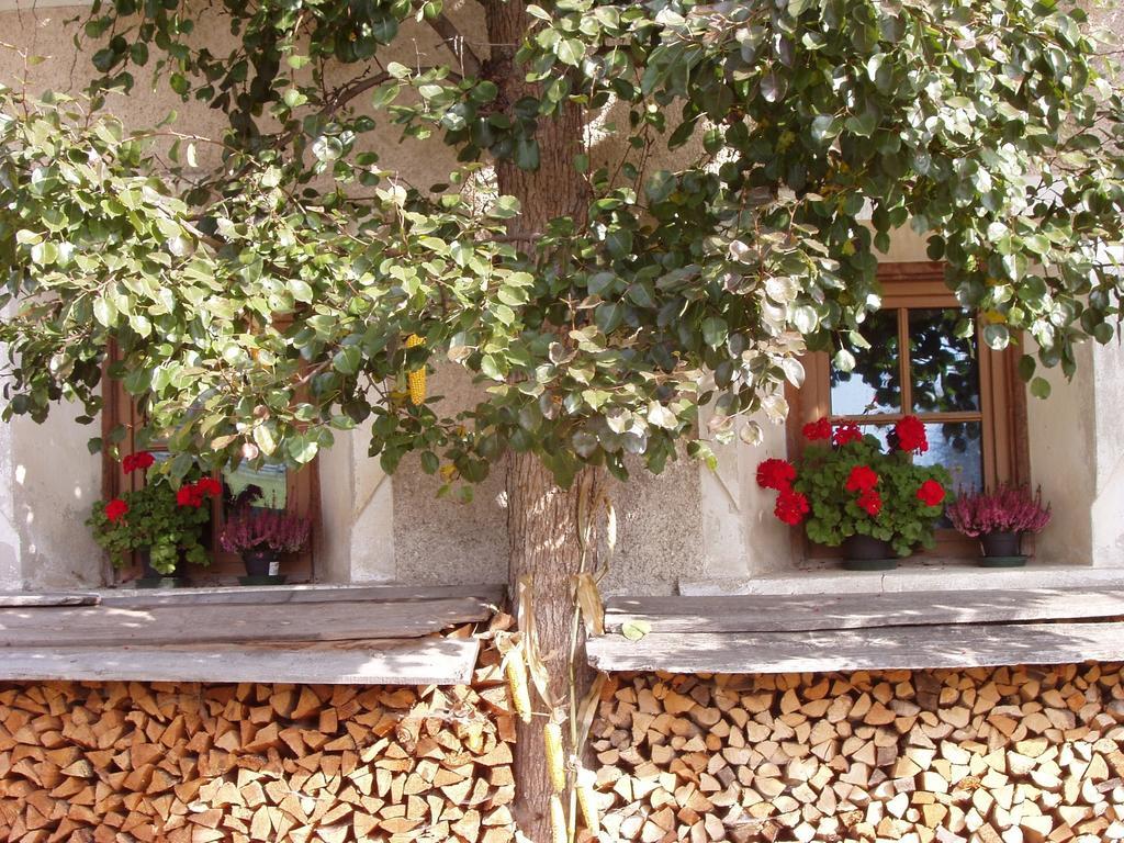 Mansarda Dolomiti Apartment Rasun di Sopra Luaran gambar